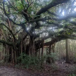 Hugh Taylor Birch State Park - Fort Lauderdale