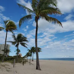 Hugh Taylor Birch State Park - Fort Lauderdale