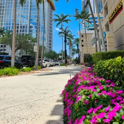 Las Olas Boulevard - Fort Lauderdale