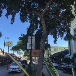 Las Olas Boulevard - Fort Lauderdale