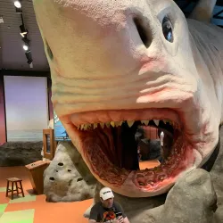 Museum of Discovery and Science - Fort Lauderdale