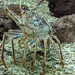 Museum of Discovery and Science - Fort Lauderdale