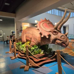 Museum of Discovery and Science - Fort Lauderdale