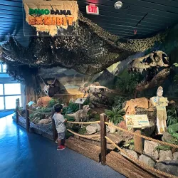 Museum of Discovery and Science - Fort Lauderdale