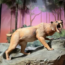 Museum of Discovery and Science - Fort Lauderdale