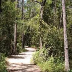 Calusa Nature Center and Planetarium - Fort Myers