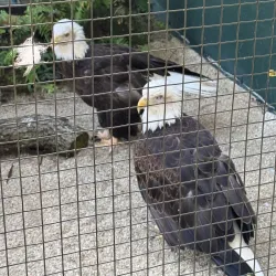 Calusa Nature Center and Planetarium - Fort Myers