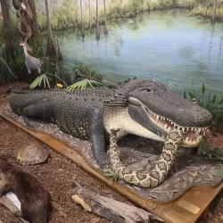 Calusa Nature Center and Planetarium - Fort Myers