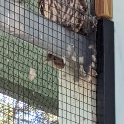 Calusa Nature Center and Planetarium - Fort Myers