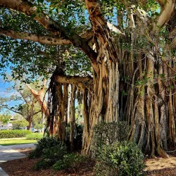 Downtown Fort Myers River District - Fort Myers