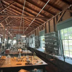 Edison and Ford Winter Estates - Fort Myers