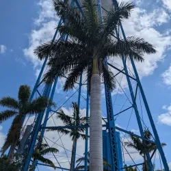 IMAG History & Science Center - Fort Myers
