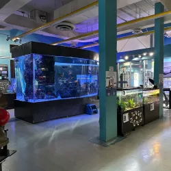 IMAG History & Science Center - Fort Myers