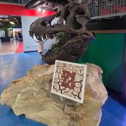 IMAG History & Science Center - Fort Myers