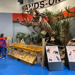 IMAG History & Science Center - Fort Myers