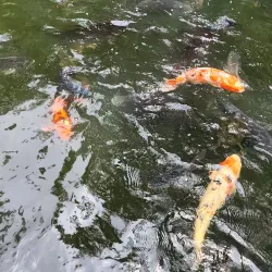 IMAG History & Science Center - Fort Myers