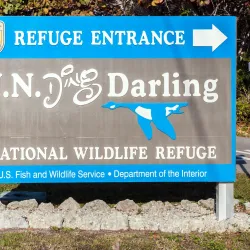 J.N. "Ding" Darling National Wildlife Refuge - Fort Myers