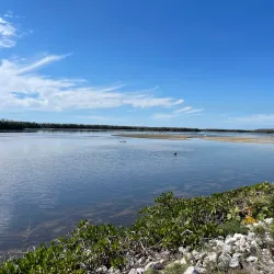 J.N. "Ding" Darling National Wildlife Refuge - Fort Myers