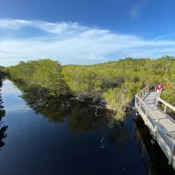 J.N. "Ding" Darling National Wildlife Refuge - Fort Myers