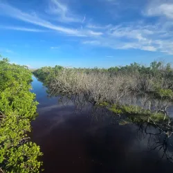 J.N. "Ding" Darling National Wildlife Refuge - Fort Myers