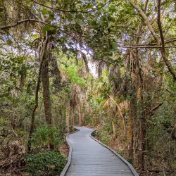J.N. "Ding" Darling National Wildlife Refuge - Fort Myers