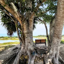 Lakes Regional Park - Fort Myers