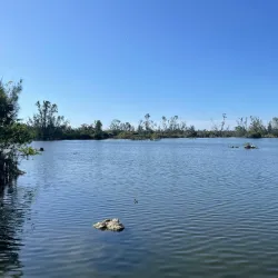 Lakes Regional Park - Fort Myers
