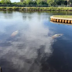 Manatee Park - Fort Myers