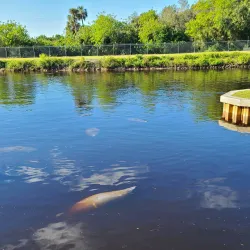 Manatee Park - Fort Myers