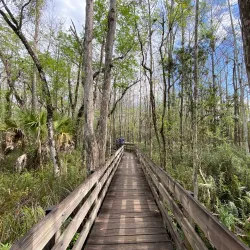 Six Mile Cypress Slough Preserve - Fort Myers