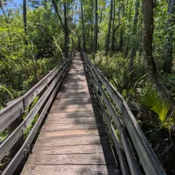 Six Mile Cypress Slough Preserve - Fort Myers