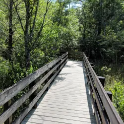 Six Mile Cypress Slough Preserve - Fort Myers