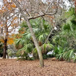 Fort Walton Beach Heritage Park & Cultural Center - Fort Walton Beach