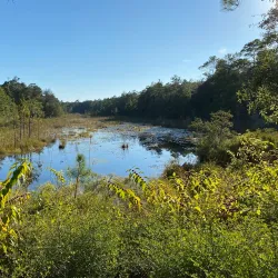 Fred Gannon Rocky Bayou State Park - Fort Walton Beach