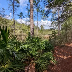 Fred Gannon Rocky Bayou State Park - Fort Walton Beach