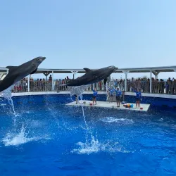 Gulfarium Marine Adventure Park - Fort Walton Beach