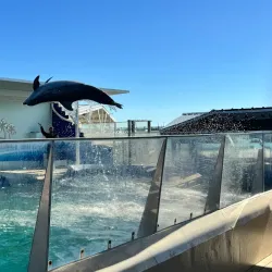 Gulfarium Marine Adventure Park - Fort Walton Beach