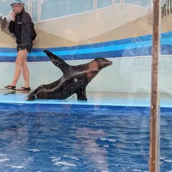 Gulfarium Marine Adventure Park - Fort Walton Beach