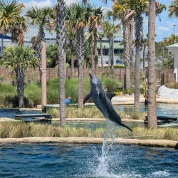 Gulfarium Marine Adventure Park - Fort Walton Beach