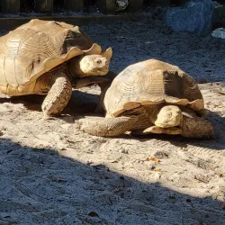 Gulfarium Marine Adventure Park - Fort Walton Beach