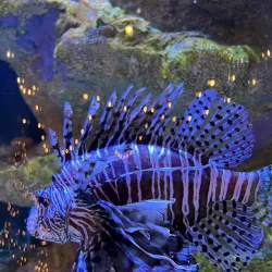 Gulfarium Marine Adventure Park - Fort Walton Beach