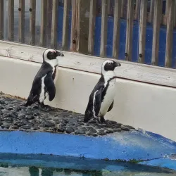 Gulfarium Marine Adventure Park - Fort Walton Beach