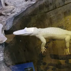 Gulfarium Marine Adventure Park - Fort Walton Beach