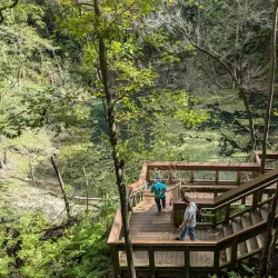 Devil's Millhopper Geological State Park - Gainesville