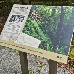 Devil's Millhopper Geological State Park - Gainesville