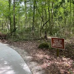 Devil's Millhopper Geological State Park - Gainesville