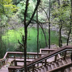 Devil's Millhopper Geological State Park - Gainesville