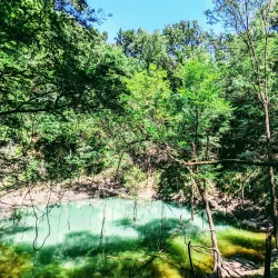 Devil's Millhopper Geological State Park - Gainesville