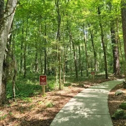 Devil's Millhopper Geological State Park - Gainesville