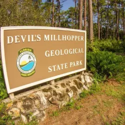 Devil's Millhopper Geological State Park - Gainesville